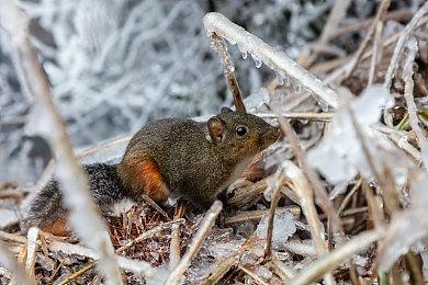 《光环：无限》遭差评轰炸 当前在线不及《战地2042》